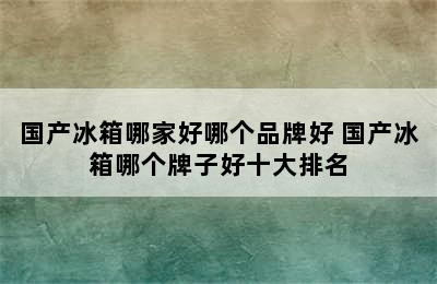 国产冰箱哪家好哪个品牌好 国产冰箱哪个牌子好十大排名